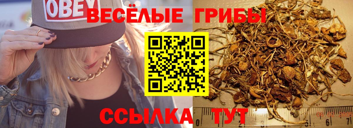 Шатура  Галлюциногенные грибы MAGIC MUSHROOMS  дарнет шоп  Вход с VPN 